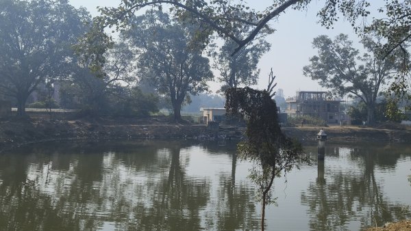 କାଳୀୟ ଦଳନ