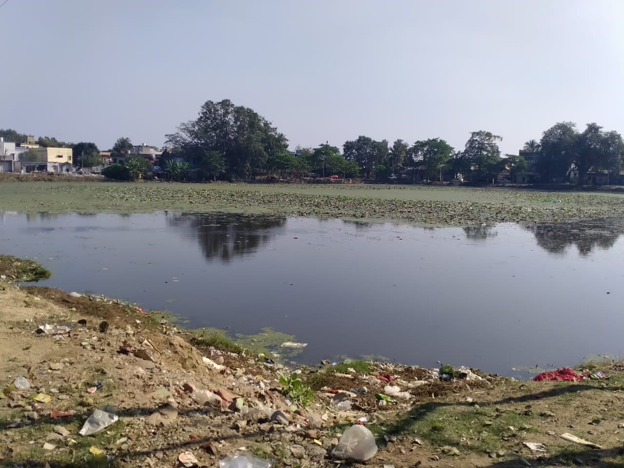 ନାବକେଳି - ମାନ ବନ୍ଧ