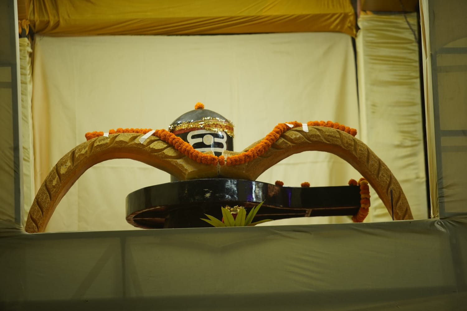 ଧନୁଯାତ୍ରା ବରଗଡ଼